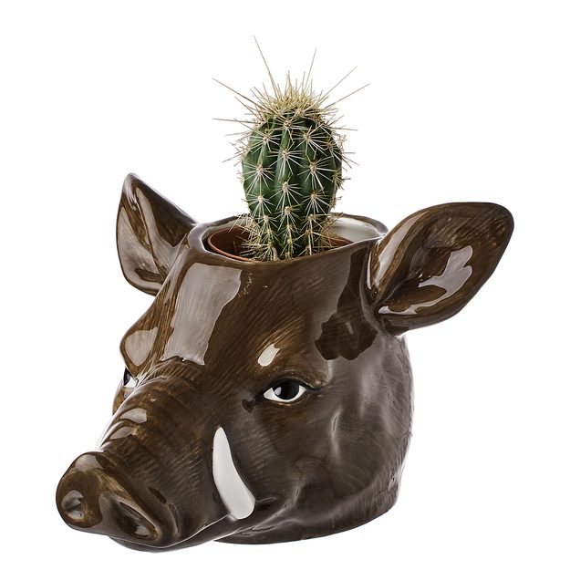 ENCHANTED FOREST KVETINÁČ DIVIAK