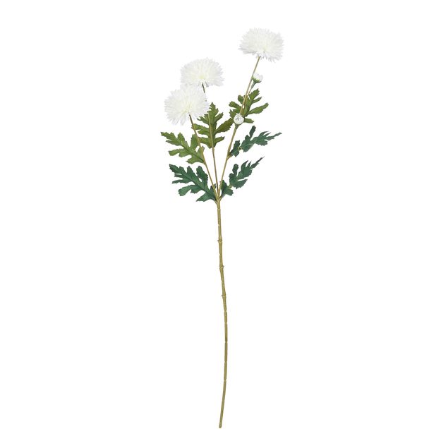 FLORISTA MINI CHRYZANTÉMA - BIELA