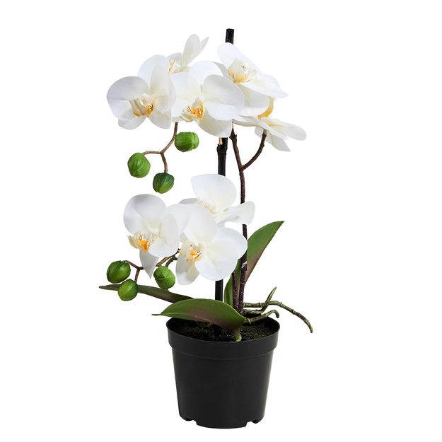 FLORISTA ORCHIDEA V KVETINÁČI 35 CM - BIELA