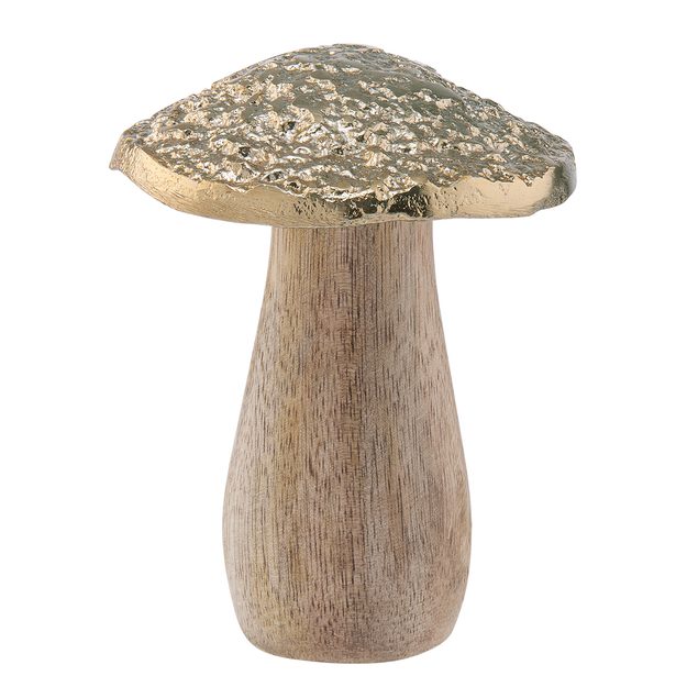 HARVEST SPLENDOR HUBA Z MANGOVÉHO DREVA 9 CM