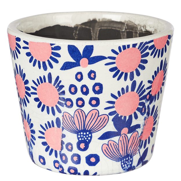 EVERGREEN KVETINÁČ 14 CM - RUŽOVÝ/MODRÝ