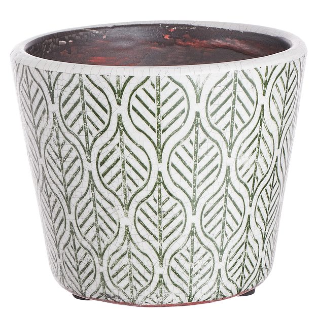 EVERGREEN KVETINÁČ LISTY 14 CM - ZELENÁ