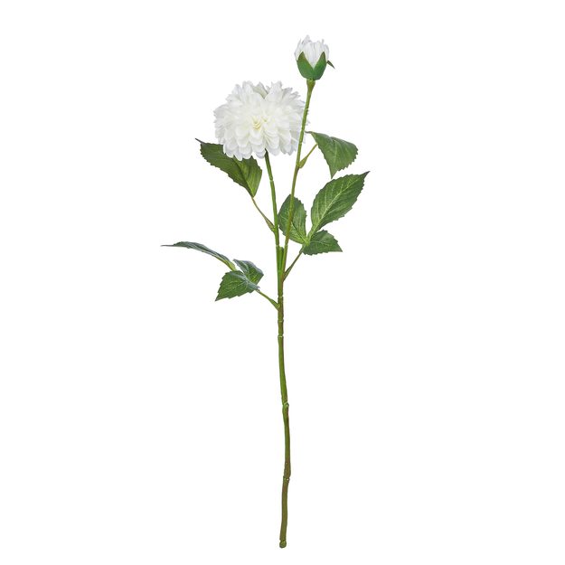 FLORISTA PIVONKA - BIELA