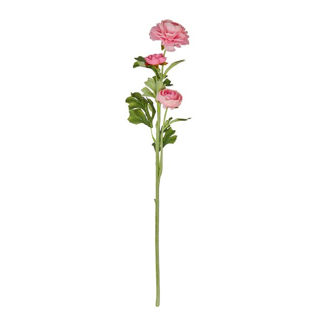 FLORISTA ISKERNÍK 63 CM - SVETLORUŽOVÝ