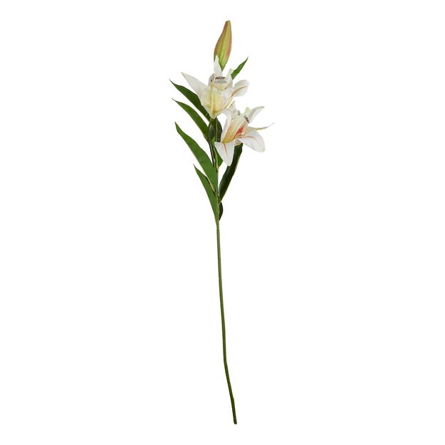 FLORISTA LALIA 90 CM - BIELA