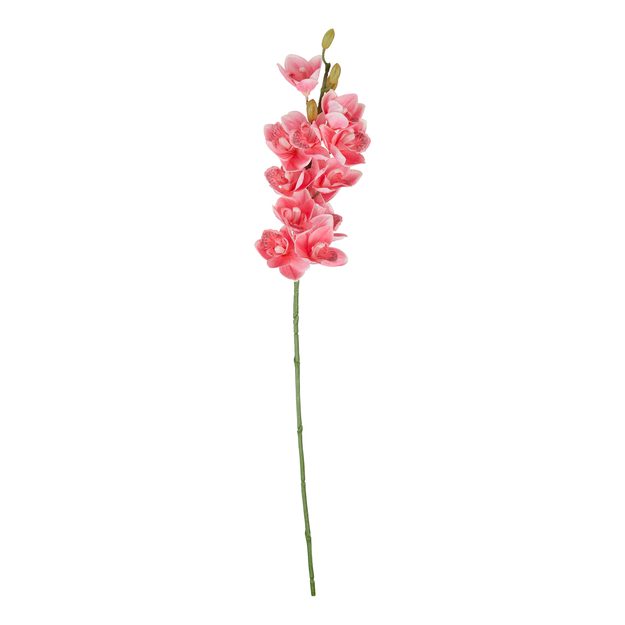 FLORISTA GLADIOLA 75 CM – RUŽOVÁ