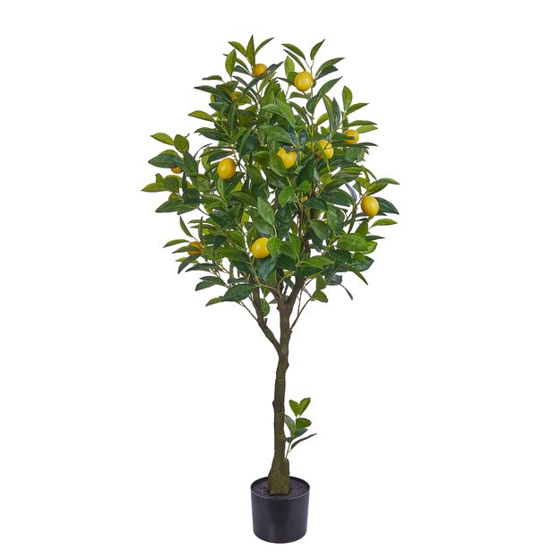 FLORISTA CITRÓNOVNÍK V KVETINÁČI 115 CM