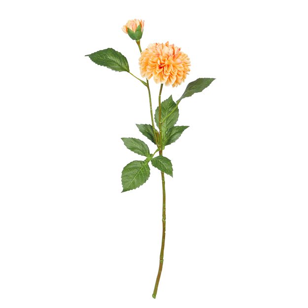 FLORISTA PIVONKA - SV. ORANŽOVÁ