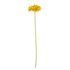 FLORISTA Gerbera 62 cm - žltá