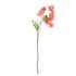 FLORISTA Vistéria 103 cm - oranžová