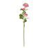 FLORISTA Iskerník 63 cm - svetloružový