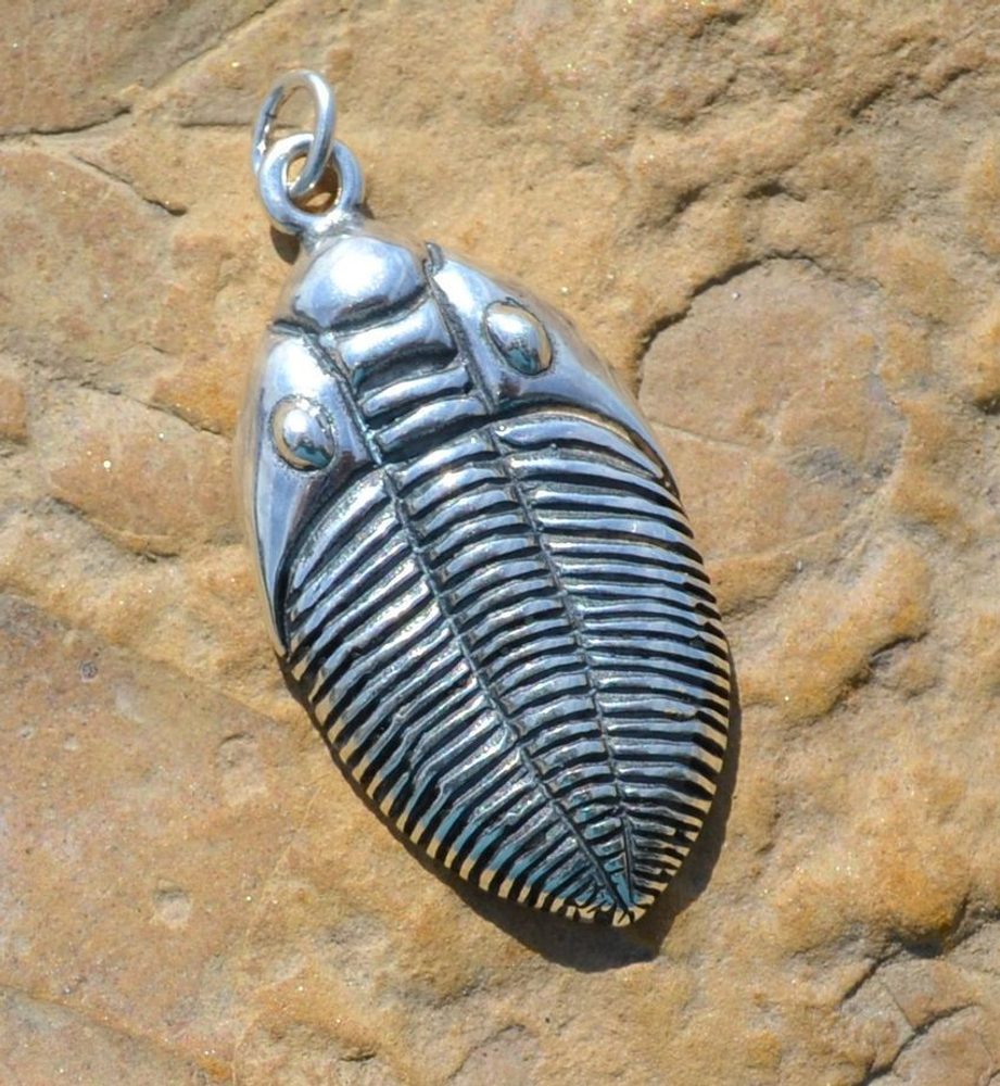 TRILOBIT, amulet, stříbrný talisman, Ag 925