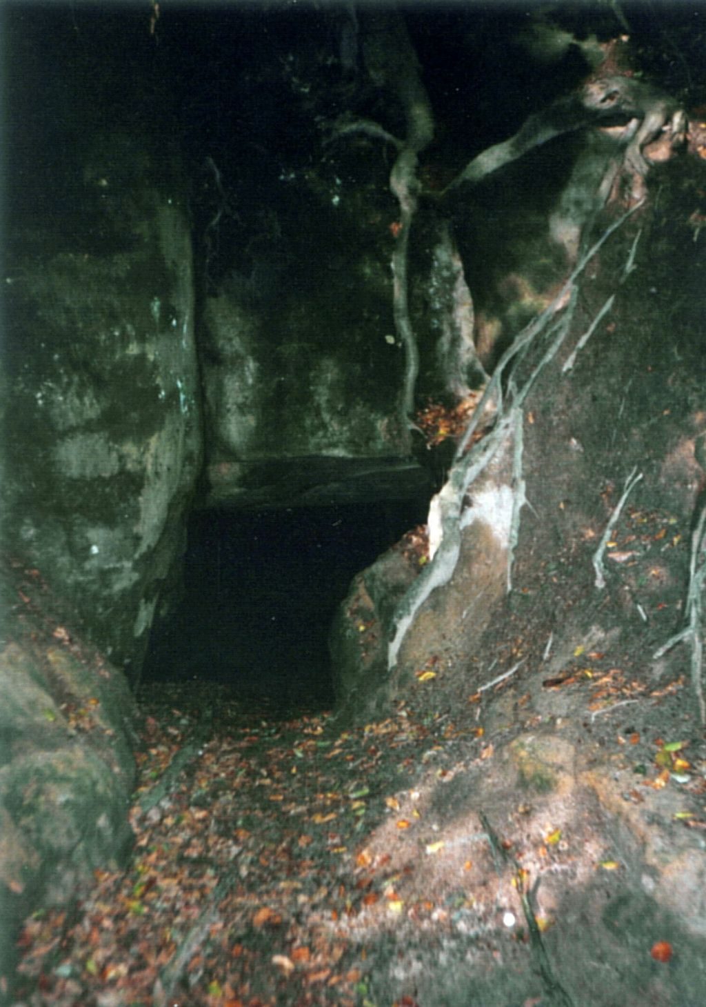 Underground cave at Trosky Castle