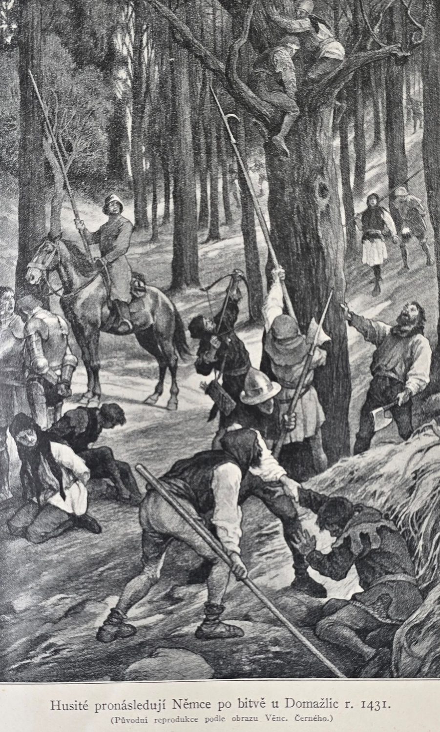 Battle of Domažlice