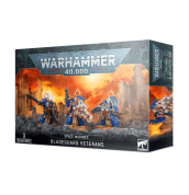 WARHAMMER 40K SPACE MARINES BLADEGUARD VETERANS - WARHAMMER 40K