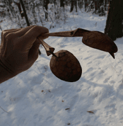 BETULA, VYŘEZÁVANÁ LŽIČKA Z BŘÍZY, OPÁLENÁ - DOBOVÉ STOLOVÁNÍ, LŽIČKY