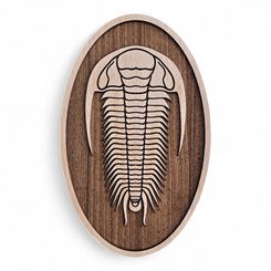 DEKORACE NA ZEĎ, TRILOBIT VELKÝ - DŘEVĚNÉ OBRAZY - HOME DECOR