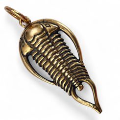 TRILOBIT, AMULET, TALISMAN, BRONZ - PŘÍVĚSKY - ŠPERKY