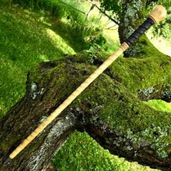 VITIS, ŘÍMSKÁ VYCHÁZKOVÁ HŮL - BOJ S IRSKOU HOLÍ SHILLELAGH - ZBRANĚ