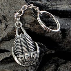 PALEONTOLOGICKÉ KLADÍVKO, TRILOBIT - GEOLOGICKÉ VYBAVENÍ - TÁBOŘENÍ A ŘEMESLA