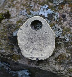 LAGUZ - RUNOVÝ AMULET ZINEK STAROMOSAZ - RUNY - ŠPERKY