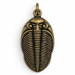 PŘÍVĚŠEK TRILOBIT ODONTOCHILE, ZINEK, STAROMOSAZ - ZVÍŘECÍ AMULETY - ŠPERKY