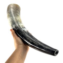 ROH NA TROUBENÍ 38 CM - SIGNÁLNÍ ROHY - STOLOVÁNÍ