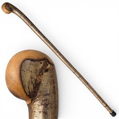 SHILLELAGH - IRSKÁ VYCHÁZKOVÁ HŮL, LÍSKA - BOJ S IRSKOU HOLÍ SHILLELAGH - ZBRANĚ