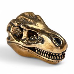 TYRANNOSAURUS REX, T-REX, MASIVNÍ AMULET, PŘÍVĚŠEK, BRONZ - PŘÍVĚSKY - ŠPERKY