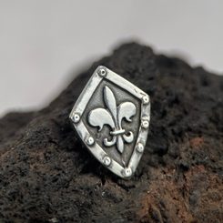 FLEUR DE LIS VE ŠTÍTU, STŘÍBRNÝ PŘÍVĚSEK, AG 925 - PŘÍVĚSKY - STŘÍBRNÉ ŠPERKY