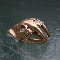 TRILOBIT, AMULET, TALISMAN, BRONZ - PŘÍVĚSKY - ŠPERKY