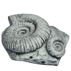 PALEONTOLOGICKÉ KLADÍVKO - TRILOBITE - GEOLOGICKÉ VYBAVENÍ - TÁBOŘENÍ A ŘEMESLA