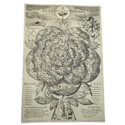 HISTORICKÁ MAPA BOHEMIAE ROSA 1668, RUČNÍ PAPÍR - PLAKÁTY - HOME DECOR