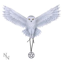MAGIC OWL PENTAGRAM - NÁSTĚNNÁ DEKORACE 45 CM - FIGURKY - HOME DECOR