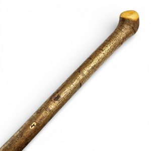 SHILLELAGH - IRSKÁ VYCHÁZKOVÁ HŮL, LÍSKA - BOJ S IRSKOU HOLÍ SHILLELAGH - ZBRANĚ