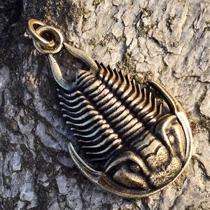TRILOBIT, PŘÍVĚSEK, ZINEK, STAROMOSAZ - ZVÍŘECÍ AMULETY - ŠPERKY