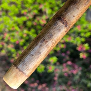 SHILLELAGH, IRSKÁ HŮL, LÍSKA - BOJ S IRSKOU HOLÍ SHILLELAGH - ZBRANĚ