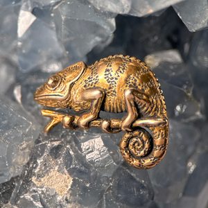CHAMELEON, AMULET, BRONZ - PŘÍVĚSKY - ŠPERKY