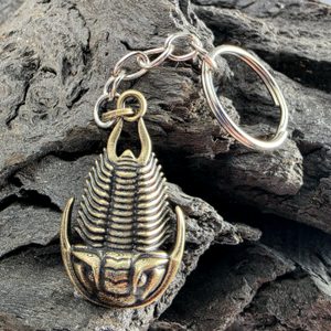 KLÍČENKA S TRILOBITEM, ZINEK, STAROMOSAZ - KLÍČENKY Z KOVU - ŠPERKY
