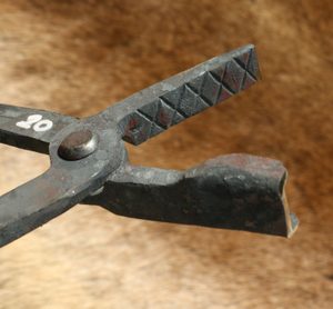 KLEŠTĚ KOVÁŘSKÉ SCHOSSMAULZANGE 20 X 5 - 10 MM - ŘEMESLNÉ VYBAVENÍ - TÁBOŘENÍ A ŘEMESLA