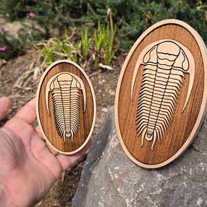 DEKORACE NA ZEĎ, TRILOBIT MALÝ - DŘEVĚNÉ OBRAZY - HOME DECOR