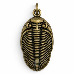 PŘÍVĚŠEK TRILOBIT ODONTOCHILE, ZINEK, STAROMOSAZ - ZVÍŘECÍ AMULETY - ŠPERKY
