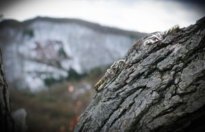 HUGINN A MUNINN, VIKINGSKÝ TORQUES, MOSAZ - TORQUESY - ŠPERKY