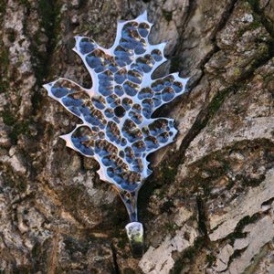 DUBOVÝ LIST VĚŠÁK NA KLÍČE / VĚŠÁK NA ŠATY - KOVANÉ VÝROBKY - KOVÁŘSTVÍ A MINCE