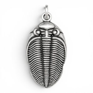 PŘÍVĚŠEK TRILOBIT ODONTOCHILE, ZINEK - ZVÍŘECÍ AMULETY - ŠPERKY