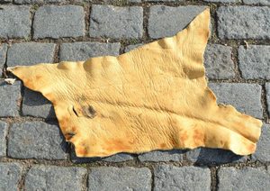 JELENÍ KRK VELKÝ - KŮŽE NA VÝROBU - SEDLÁŘSTVÍ