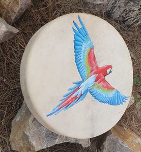 ŠAMANSKÝ BUBEN - PAPOUŠEK ARA 40CM - BUBNY - TÁBOŘENÍ A ŘEMESLA