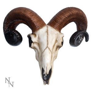 BERANÍ LEBKA, DEKORACE Z PRYSKYŘICE 33CM - FIGURKY - HOME DECOR