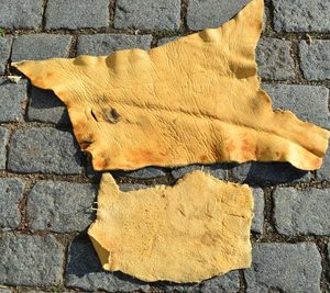 JELENÍ KRK VELKÝ - KŮŽE NA VÝROBU - SEDLÁŘSTVÍ