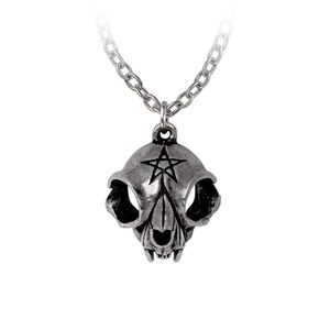 MY FOREVER FRIEND, NÁHRDELNÍK, ALCHEMY GOTHIC - NÁHRDELNÍKY - ŠPERKY
